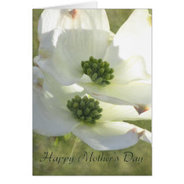 マザーズデイ・ドッグウッド