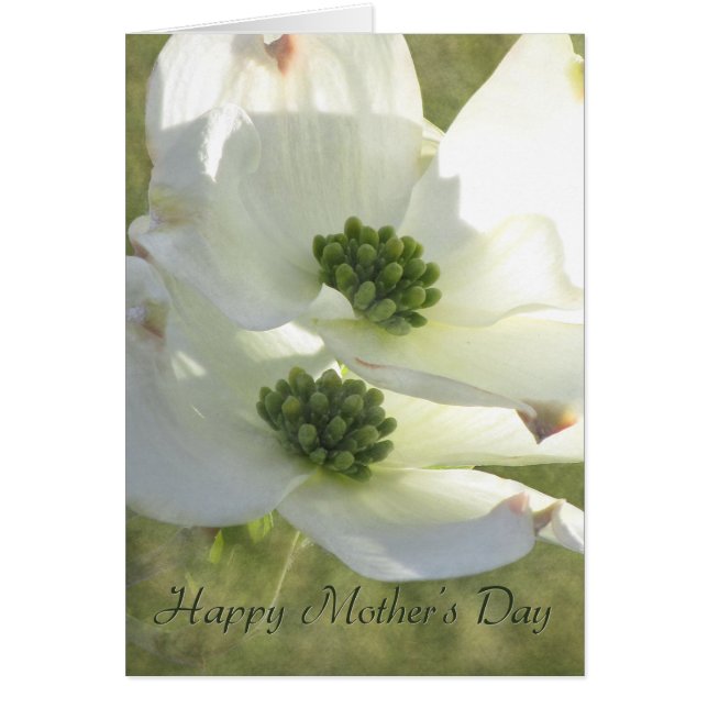 マザーズデイ・ドッグウッド (正面)