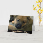 マザーズ・デイ・カード（犬） カード (黄色い花)