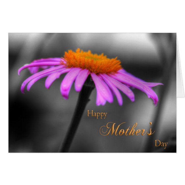 マザーズ・デイ・パープルとオレンジ・コンフロアー (正面横)