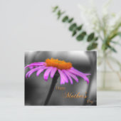 マザーズ・デイ・パープルとオレンジ・コンフロアー ポストカード (スタンド正面)