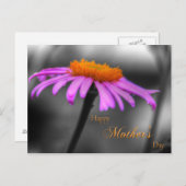マザーズ・デイ・パープルとオレンジ・コンフロアー ポストカード (正面/裏面)