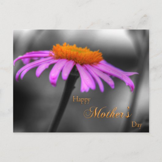 マザーズ・デイ・パープルとオレンジ・コンフロアー ポストカード (正面)