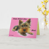 マザーズ・デイ・ペット・グリーティング カード (黄色い花)