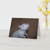 マザーズ・デイ・ラット カード (黄色い花)