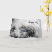 マザーズ・デイfrom the cat Siamese カード (黄色い花)