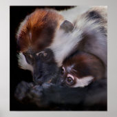 マザーズ・ラブ ポスター (正面)