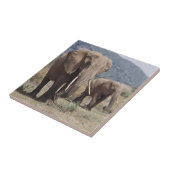 マザーゾウ歩く（ゾウ子牛） タイル (側面)