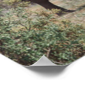 マザーゾウ歩く(ゾウ子牛) ポスター (角)