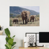 マザーゾウ歩く(ゾウ子牛) ポスター (ホームオフィス)