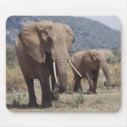 マザーゾウ歩く（ゾウ子牛） マウスパッド (正面)