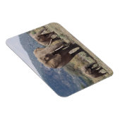 マザーゾウ歩く（ゾウ子牛） マグネット (右側)