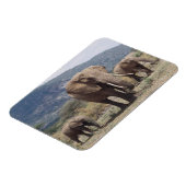 マザーゾウ歩く（ゾウ子牛） マグネット (左側)