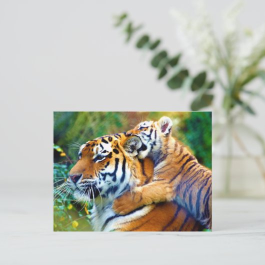 マザータイガーベビークブ登山と噛み耳 ポストカード (スタンド正面)