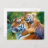 マザータイガーベビークブ登山と噛み耳 ポストカード (正面/裏面)