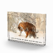 マザータイガー&カ活気づけるブズ引用文 フォトブロック (右)