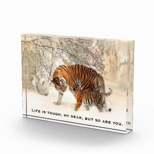 マザータイガー&カ活気づけるブズ引用文 フォトブロック (右)