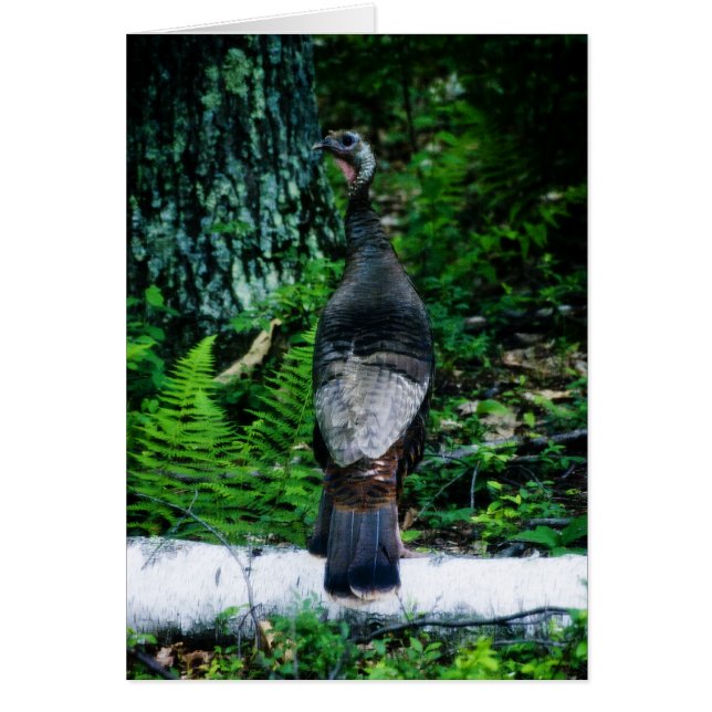 マザーターキーカード (正面)