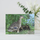 マザーダックとダックリ ングの先生感謝 サンキューカード (スタンド正面)