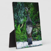 マザートルコのプラーク フォトプラーク (側面)