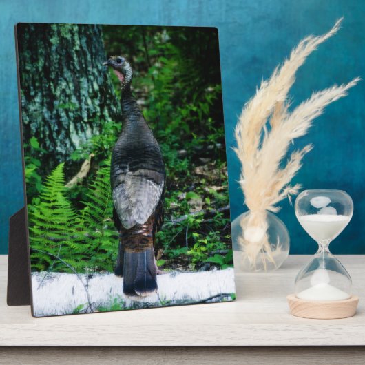 マザートルコのプラーク フォトプラーク (側面)