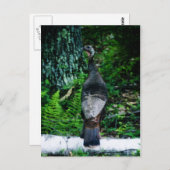 マザートルコはがき ポストカード (正面/裏面)