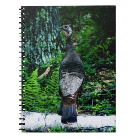 マザートルコ手帳 ノートブック (正面)