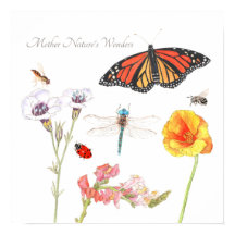 マザーネイチャー疑問に思