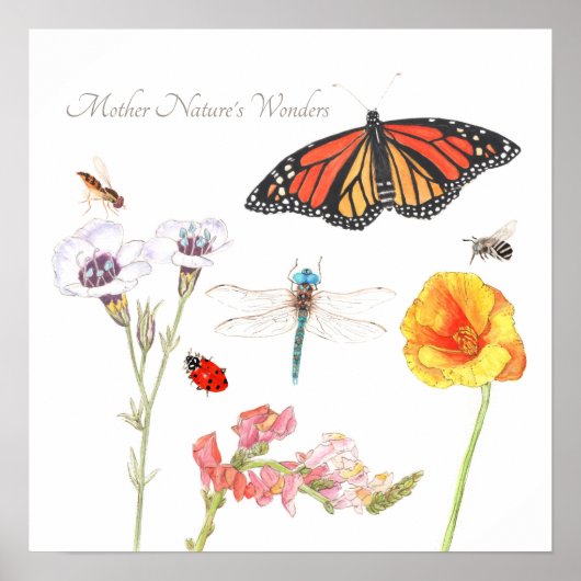 マザーネイチャー疑問に思 ポスター (正面)