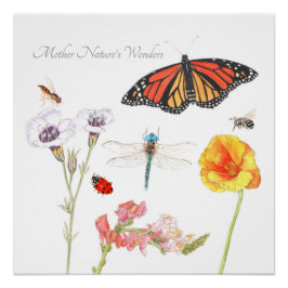 マザーネイチャー疑問に思 ポスター