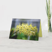 マザーハッピー90th誕生日オーキストライプのッド カード (裏面)