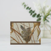 マザーハミングバード | ブルービーチソング™はがき ポストカード (スタンド正面)