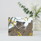 マザーフクロウとベビーイン・ネスト ポストカード (スタンド正面)