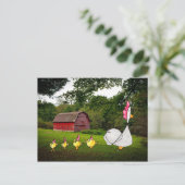 マザーヘンはがき ポストカード (スタンド正面)