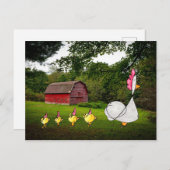 マザーヘンはがき ポストカード (正面/裏面)