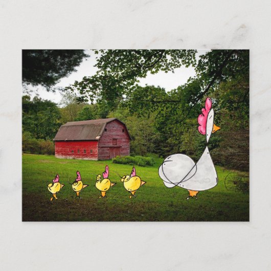 マザーヘンはがき ポストカード (正面)