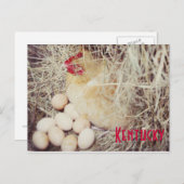 マザーヘンドバイジャージーファウン ポストカード (正面/裏面)