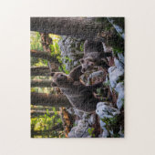 マザーベア・アンド・カッブ・スロベニア ジグソーパズル (縦)