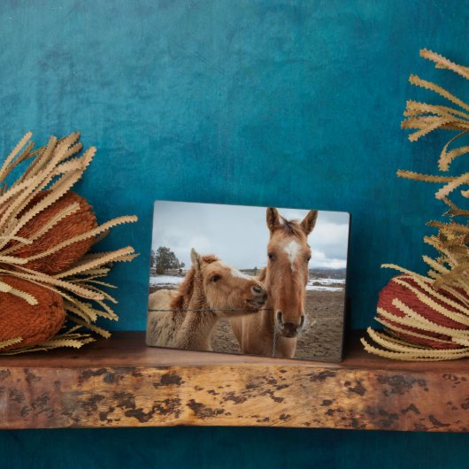 マザーホースとフォーアル フォトプラーク (側面)