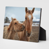 マザーホースとフォーアル フォトプラーク (側面)