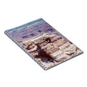 マザーポイント ノートブック (右側)