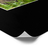 マザーマカケとベビー ポスター (角)