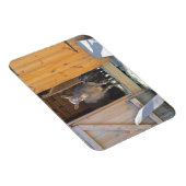 マザーヤギ及びベビー磁石 マグネット (右側)