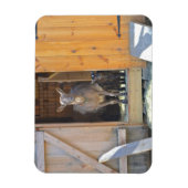 マザーヤギ及びベビー磁石 マグネット (縦)