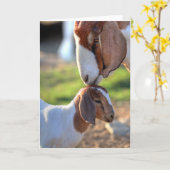 マザーヤギ&ベビー カード (黄色い花)