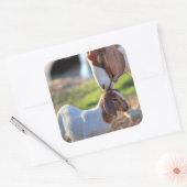 マザーヤギ&ベビー スクエアシール (封筒)