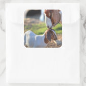 マザーヤギ&ベビー スクエアシール (バッグ)