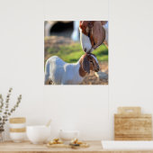 マザーヤギ&ベビー ポスター (キッチン)