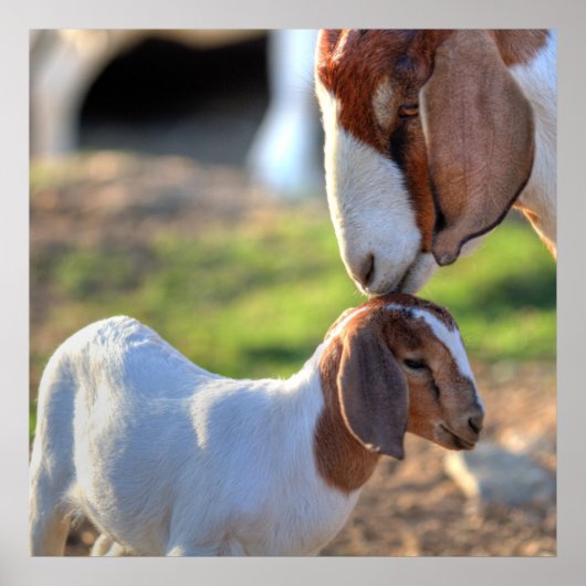 マザーヤギ&ベビー ポスター (正面)