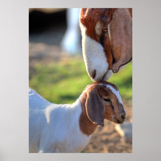 マザーヤギ&ベビー ポスター (正面)